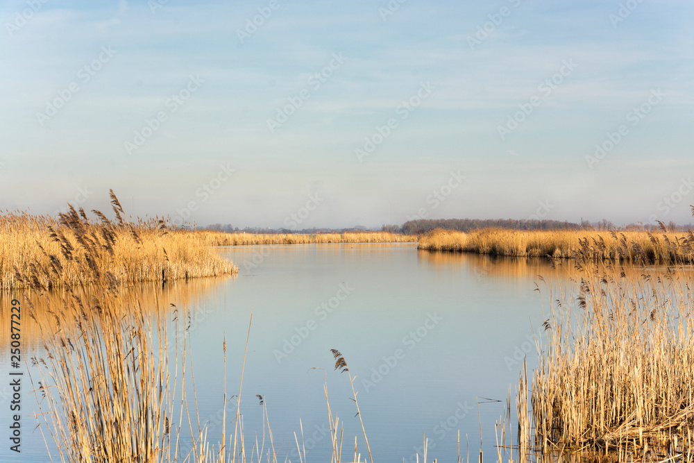 Beautiful view on the Alblasserwaard, an area in het Groene Hart of the Netherlands. A beautiful day in early spring with a view on water and reed. The Pelgrimspad, a trail, leads you through Beautiful view on the Alblasserwaard, an area in het Groene Hart of the Netherlands. A beautiful day in early spring with a view on water and reed. The Pelgrimspad, a trail, leads you through