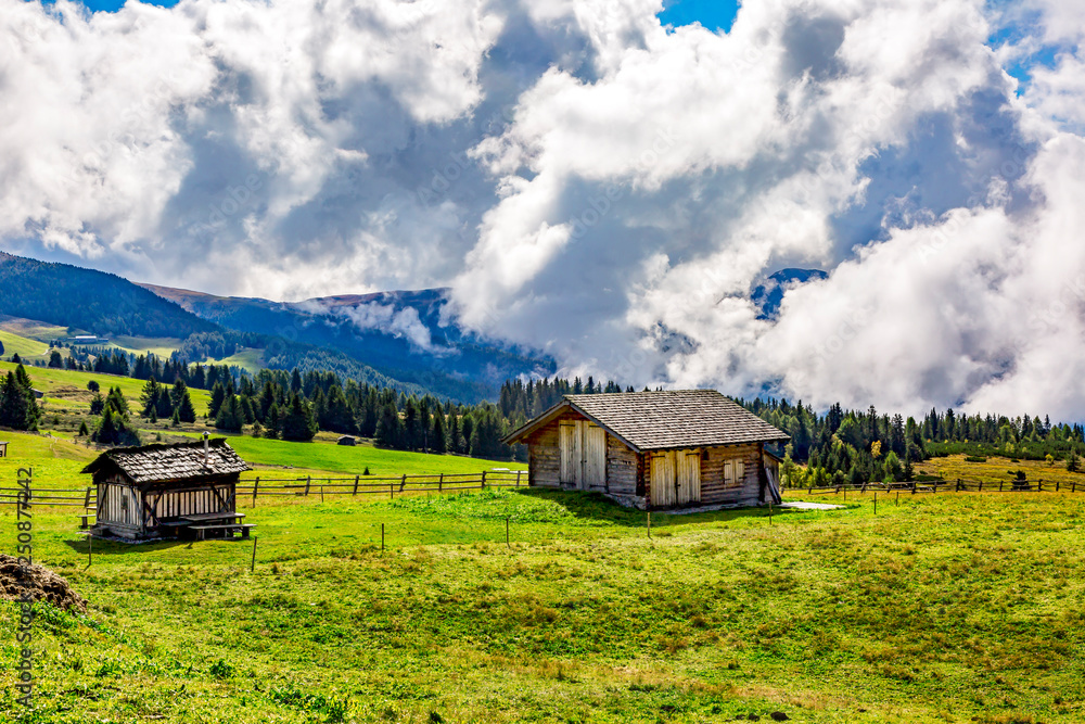 Alm in South Tyrol Alm in South Tyrol