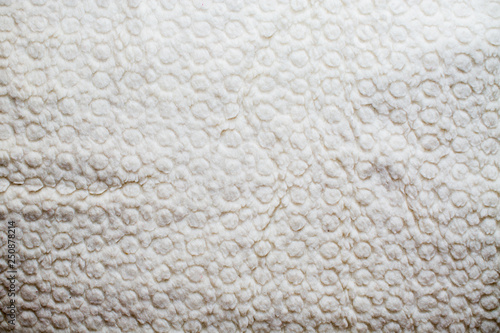 sheep wool blanket texture
