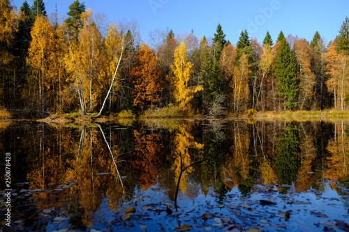 on the shore of a lake in autumn