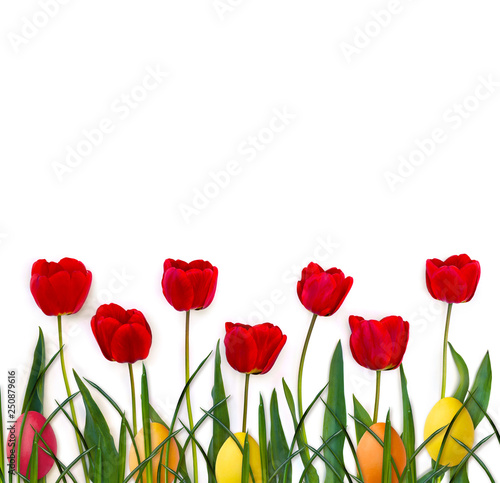 Easter decoration. Beautiful flowers red tulips  grass and colored easter eggs on a white background with space for text. Top view  flat lay