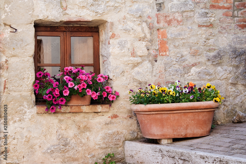 Colorful Flowers in Window Flower Box Colorful Flowers in Window Flower Box