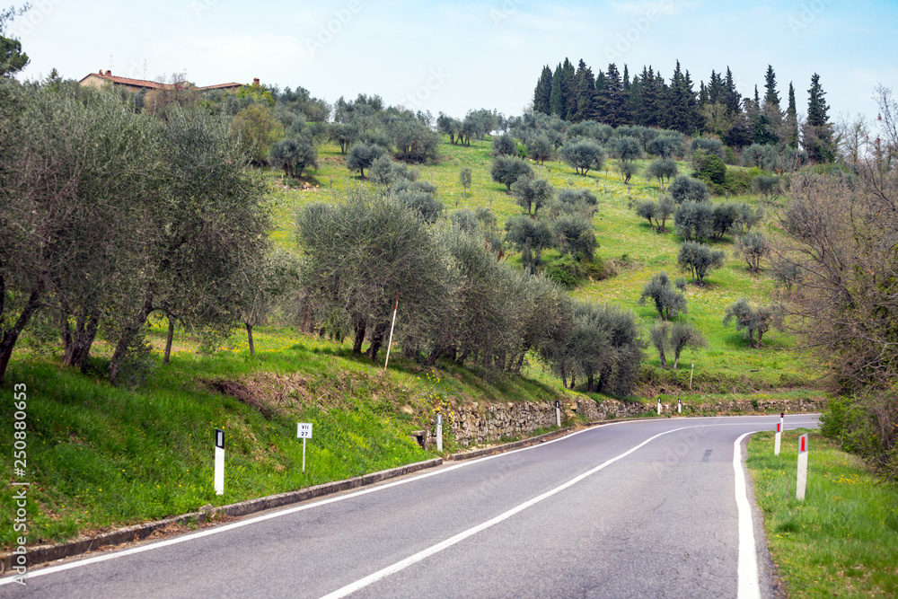 Fototapeta premium empty road at the Toscana