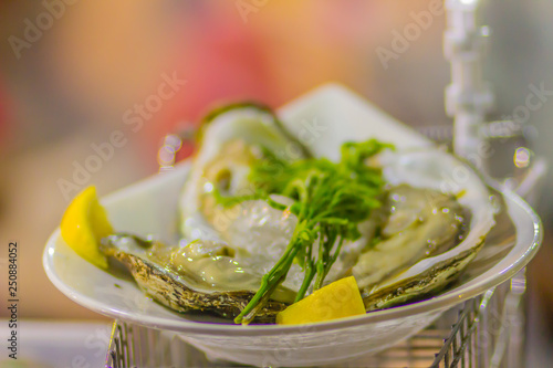 Extra large size of oysters served on ice with young lead tree leaves and a piece of lemon on the side.