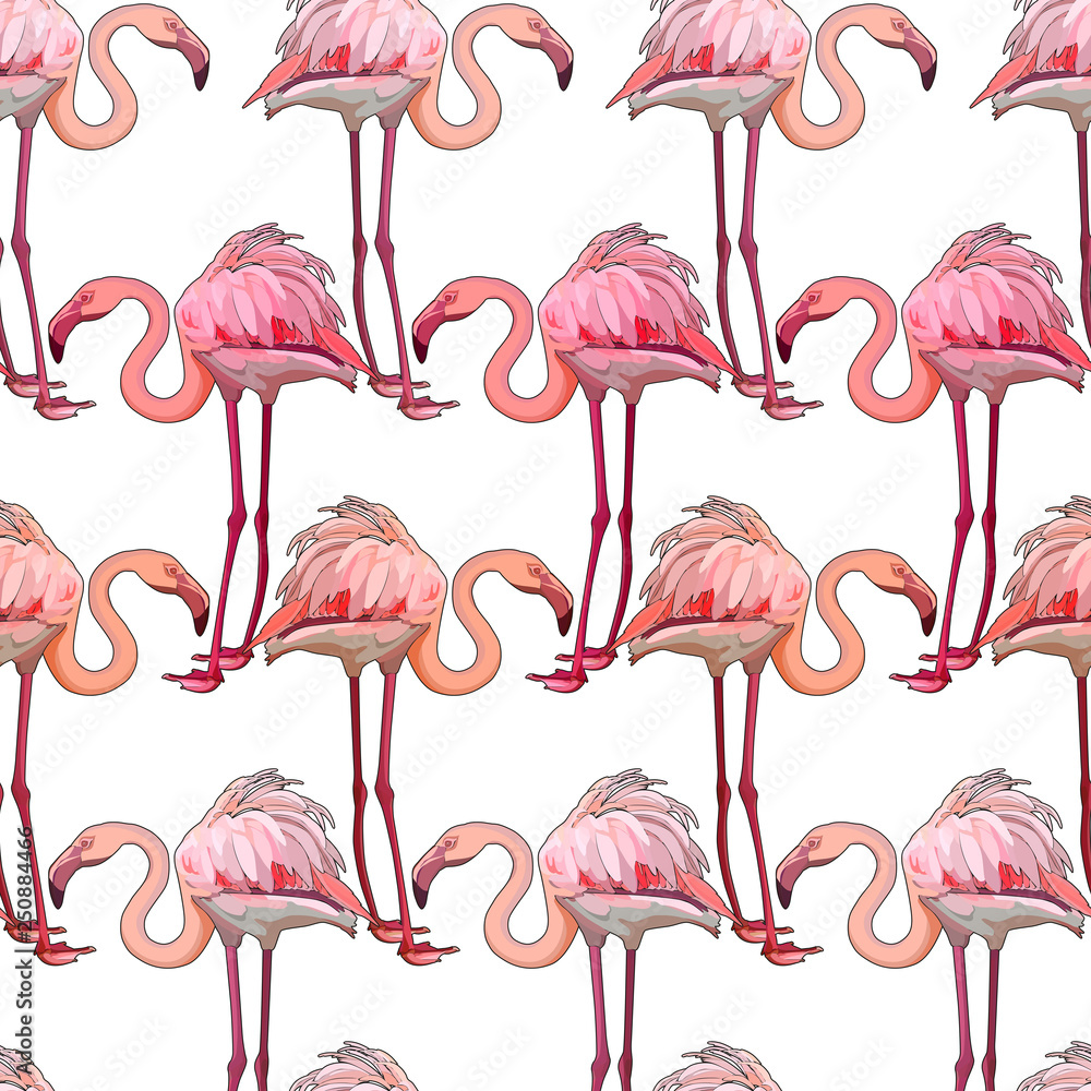 Obraz premium Seamless background with flamingos