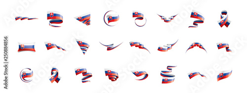 Photography Slovakia flag, vector illustration on a white background