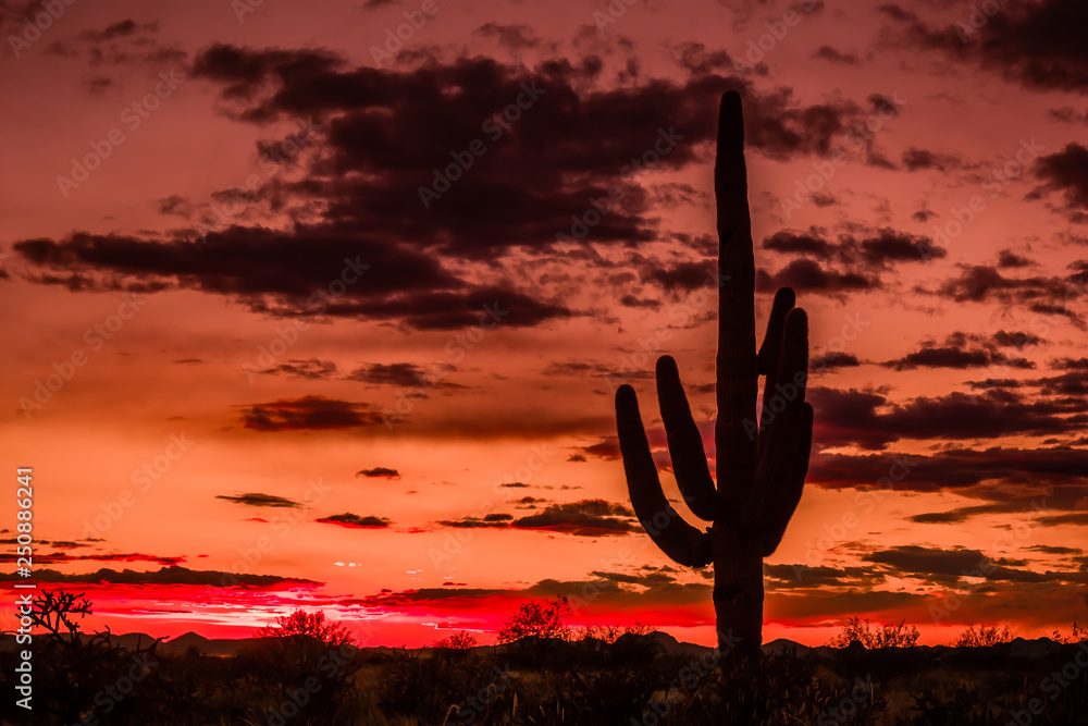 After The Sun Set, Arizona