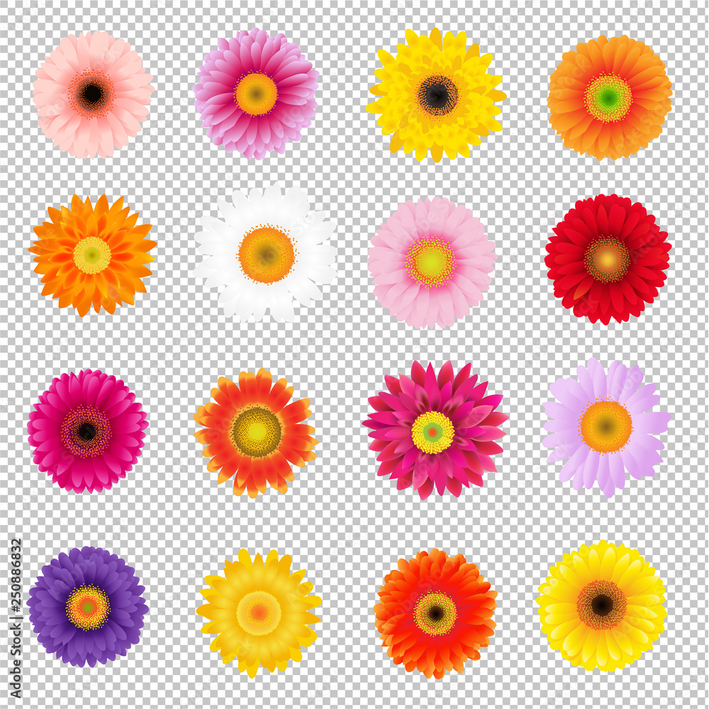 Big Colorful Gerbers Set Transparent Background Big Colorful Gerbers Set Transparent Background