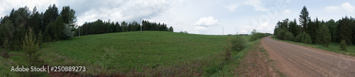 Panorama of green fields and forests