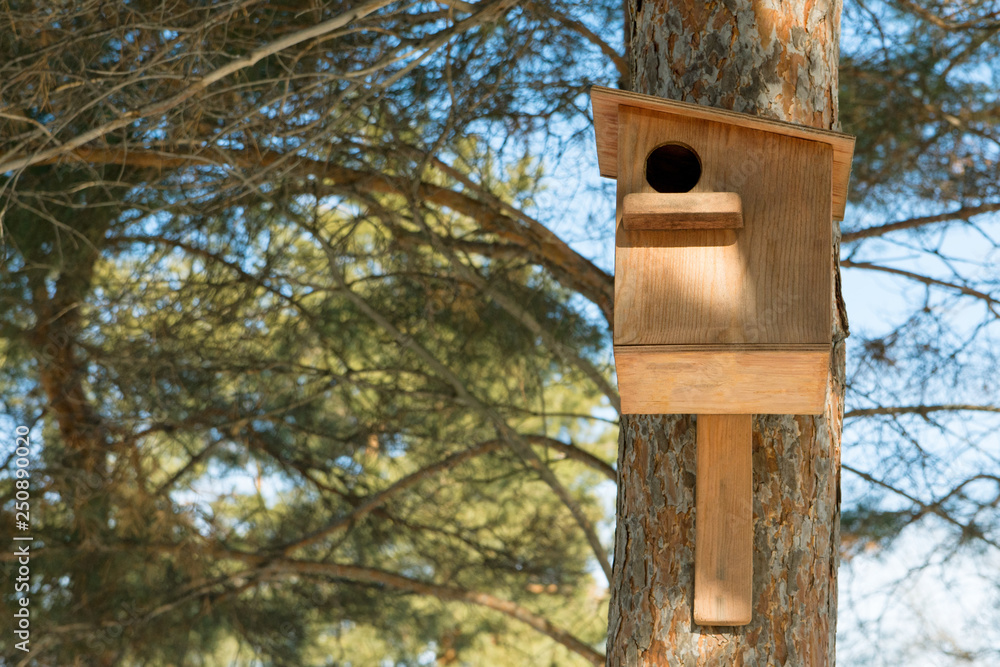 Bird feeder hanging on a tree in a coniferous forest in the Park. Bird house in the tree. Care of fauna.