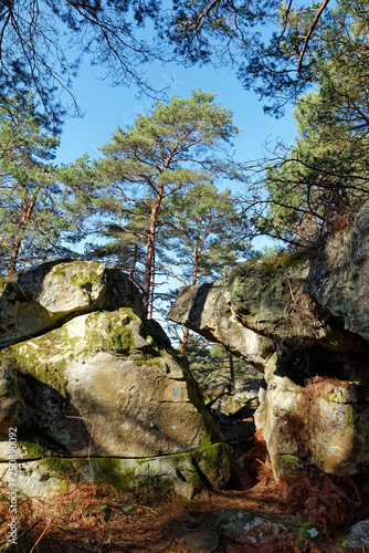 Gorges du houx hiking trail in Fontainebleau forest