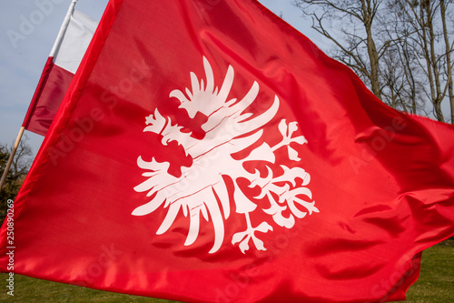 White eagle on red background - flag and historical emblem of the Greater Poland uprising, polish national colours.