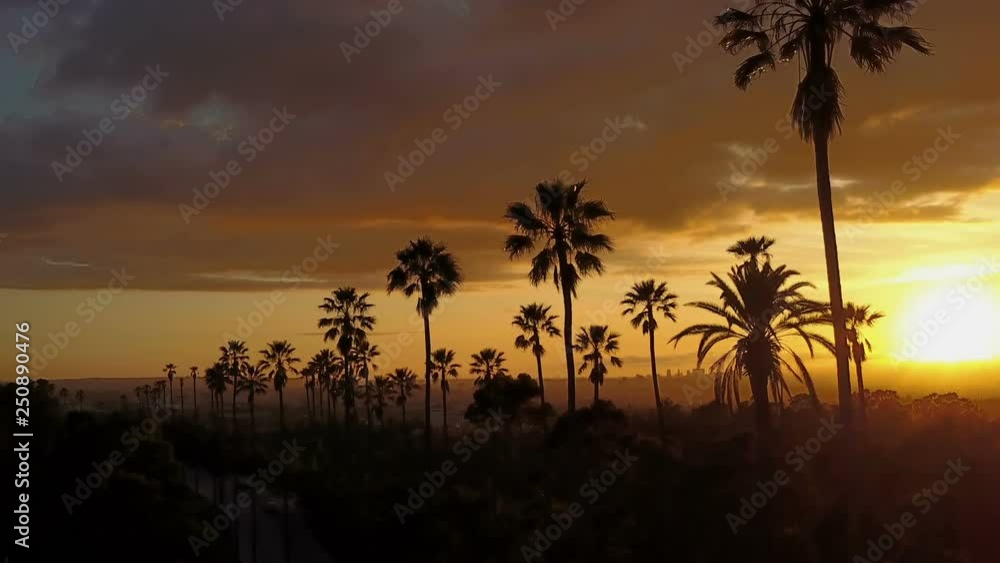 Silhouette of palm trees and a beautiful sunset. Silhouette of palm trees and a beautiful sunset.