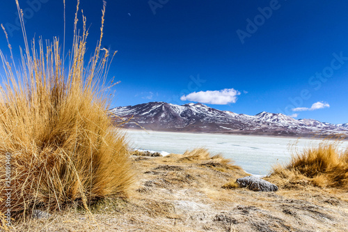 Laguna Blanca - Réserve nationale de faune andine Eduardo Avaroa - Bolivie photo