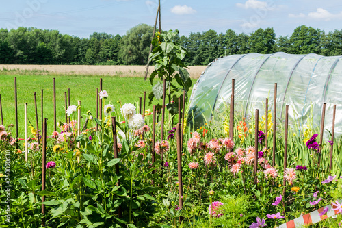 Garten2202a