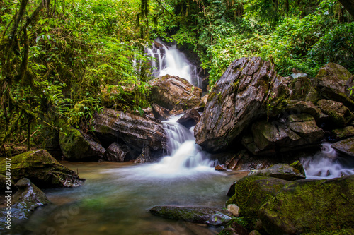 S  o Paulo  Brasil. Dezembro de 2018. Cachoeira no Parque Estadual do Alto Ribeira  Petar 