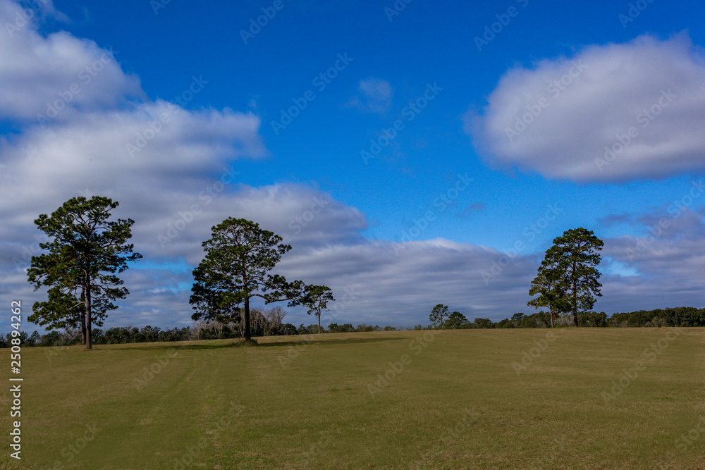 Grassy Field Natural Landscape Blue Sky Scattered Trees Farmland Clouds Daytime Grassy Field Natural Landscape Blue Sky Scattered Trees Farmland Clouds Daytime