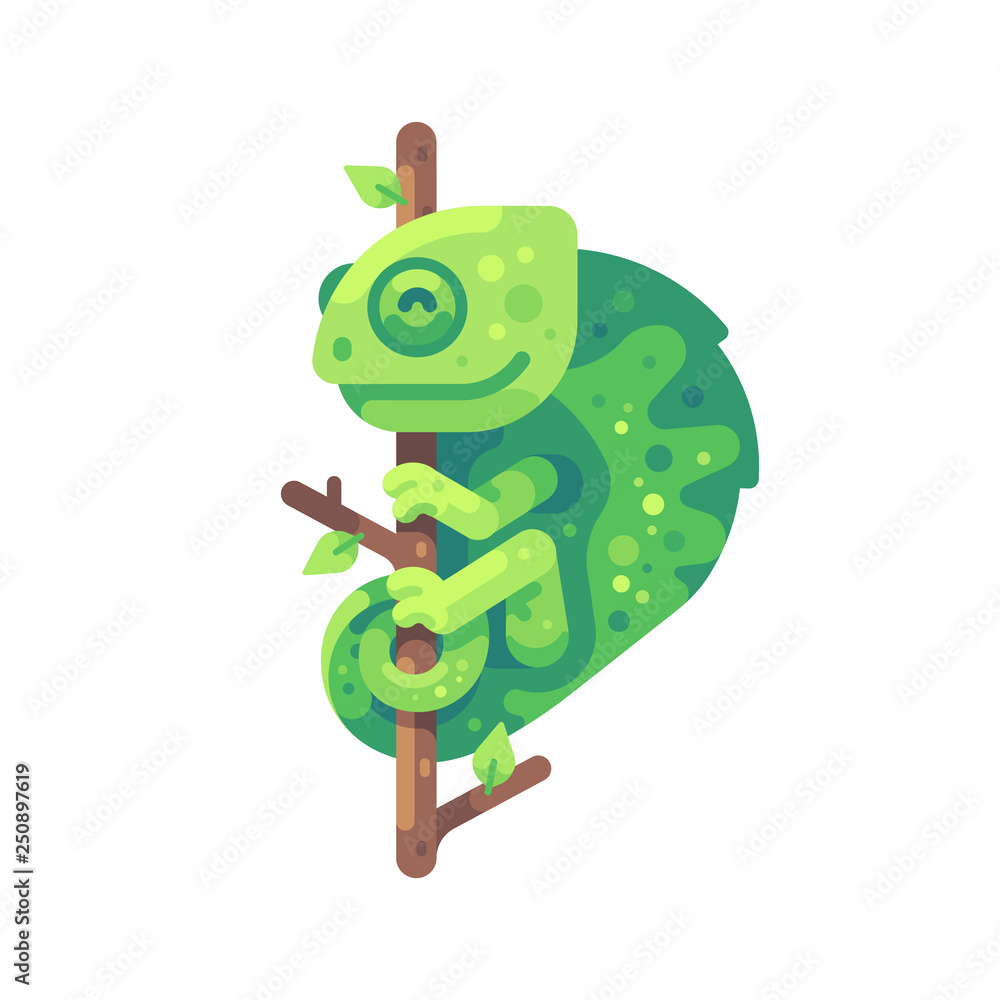 Fototapeta premium Green chameleon sitting on a tree branch