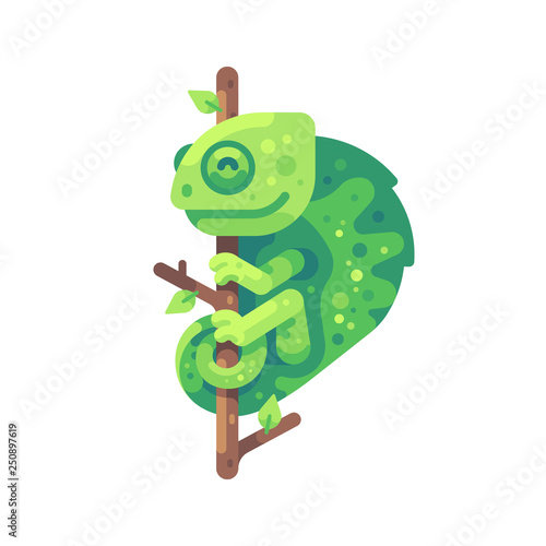 Green chameleon sitting on a tree branch