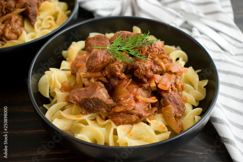 Obraz na plátne Hungarian Beef Goulash with Noodles