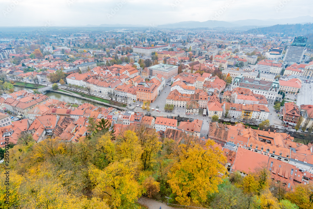 Aerial view of the Ljubliana cityscape