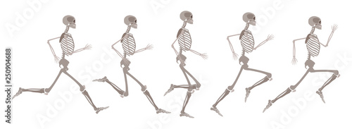 Vector human skeleton in motion and runnning set