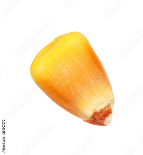 Canvas Print Macro kernel corn isolated on white, background, clipping path
