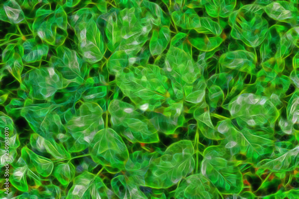 green leaves abstract texture green leaves abstract texture