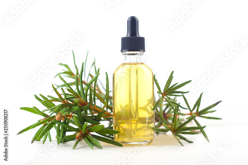 Labrador tea essential oil in beautiful bottle on White background