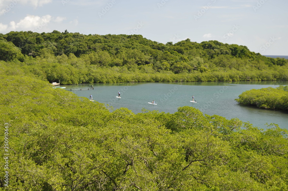 A View of Mahogany Bay, Isla Roatan, Honduras