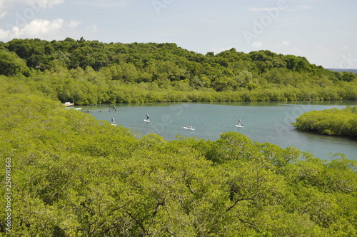 A View of Mahogany Bay  Isla Roatan  Honduras