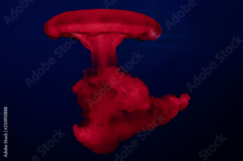 Jellyfish ior manet in deep...
