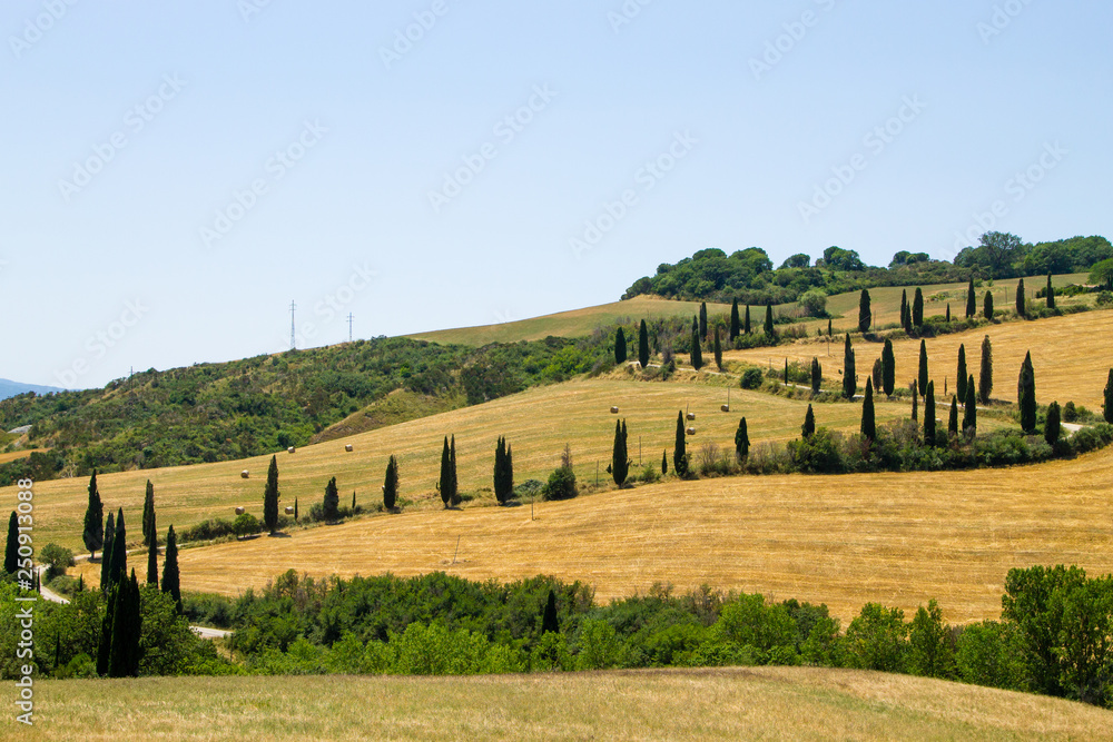 Tuscany hills panorama summer view, Italian landscape