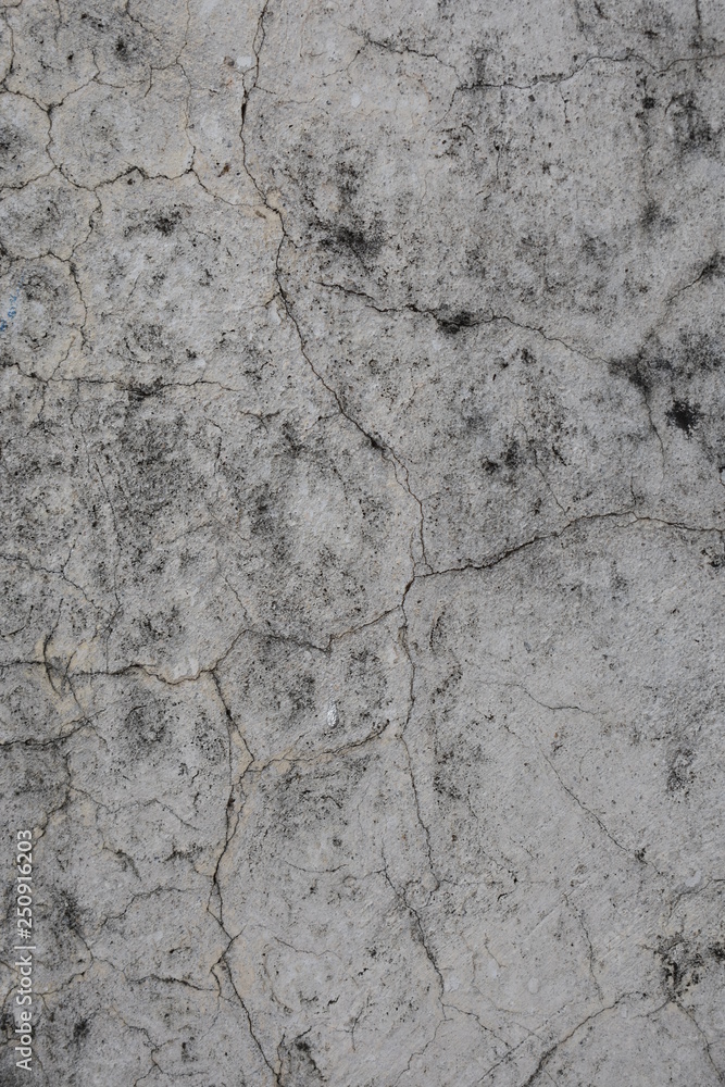 Fototapeta premium muro antiguo