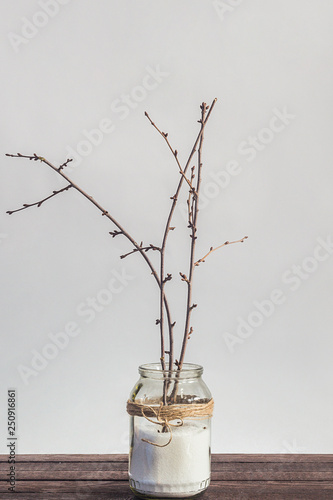 Flowering branches in a jar with easter eggs as decor