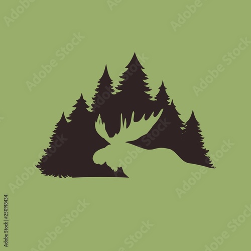 Silhouette of moose