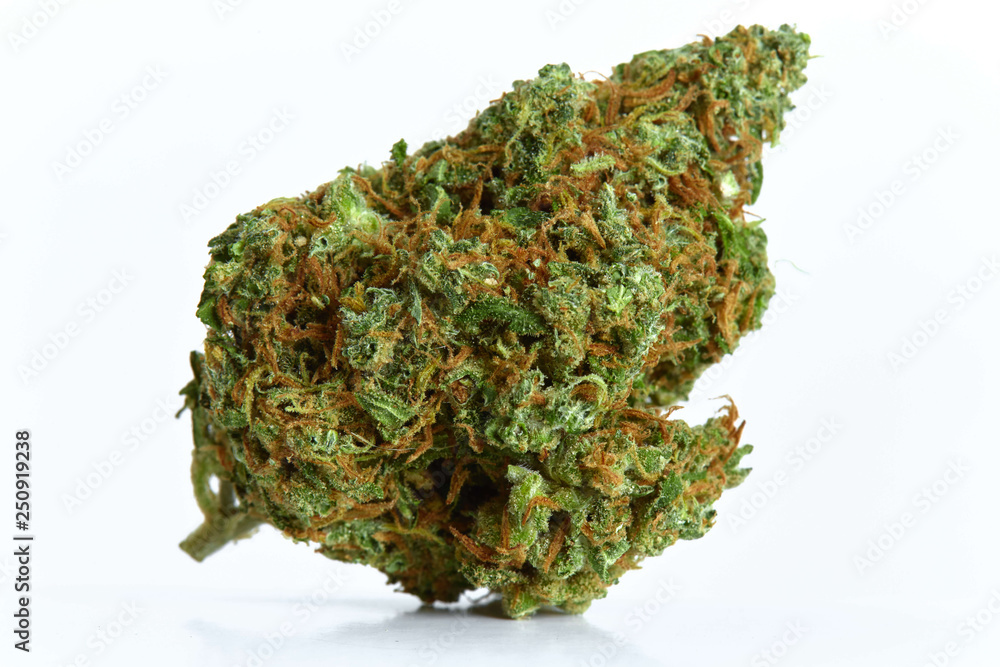 Xj Kush Xj Kush