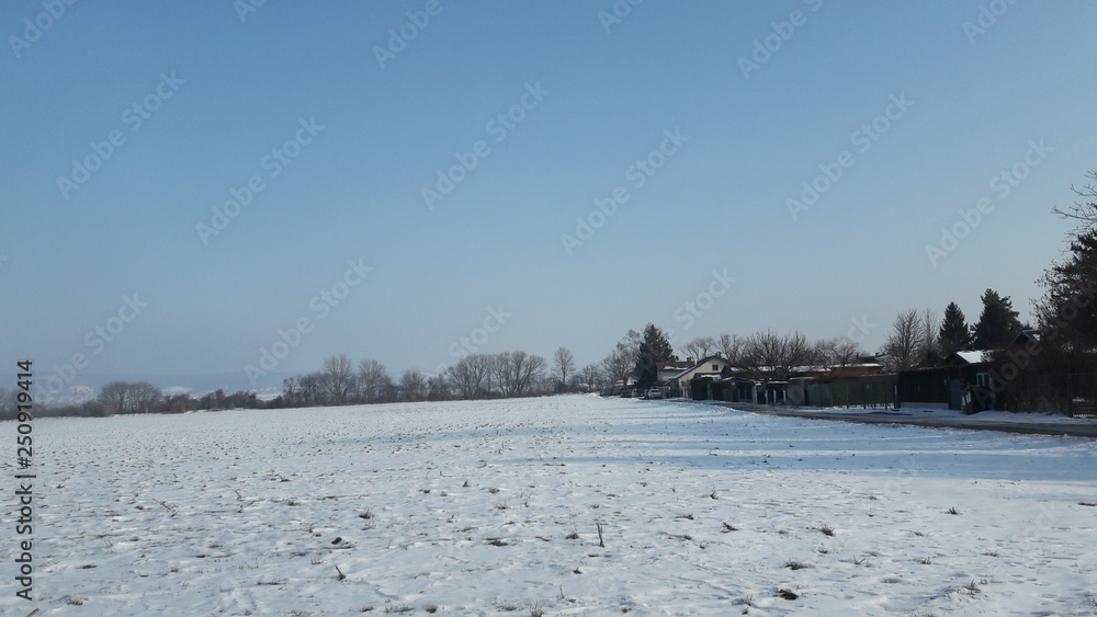 The White Snow Landscape The White Snow Landscape