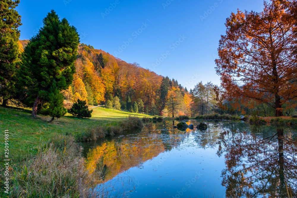 A beautiful pond in the arboretum of Aubonne, Switzerland in the autumn season. A beautiful pond in the arboretum of Aubonne, Switzerland in the autumn season.