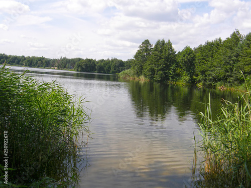 lake in the forest