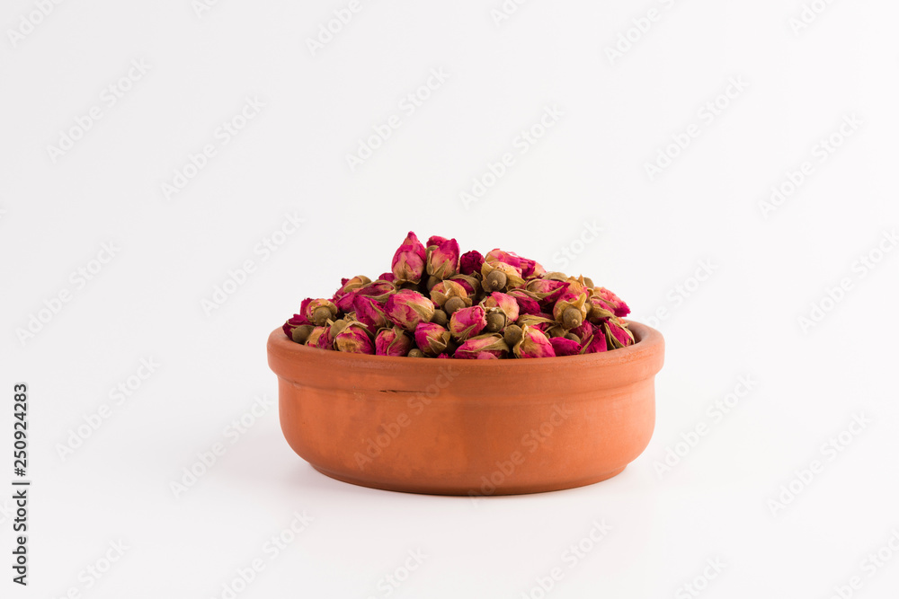 tea rose buds in a clay pot isolated on white background tea rose buds in a clay pot isolated on white background