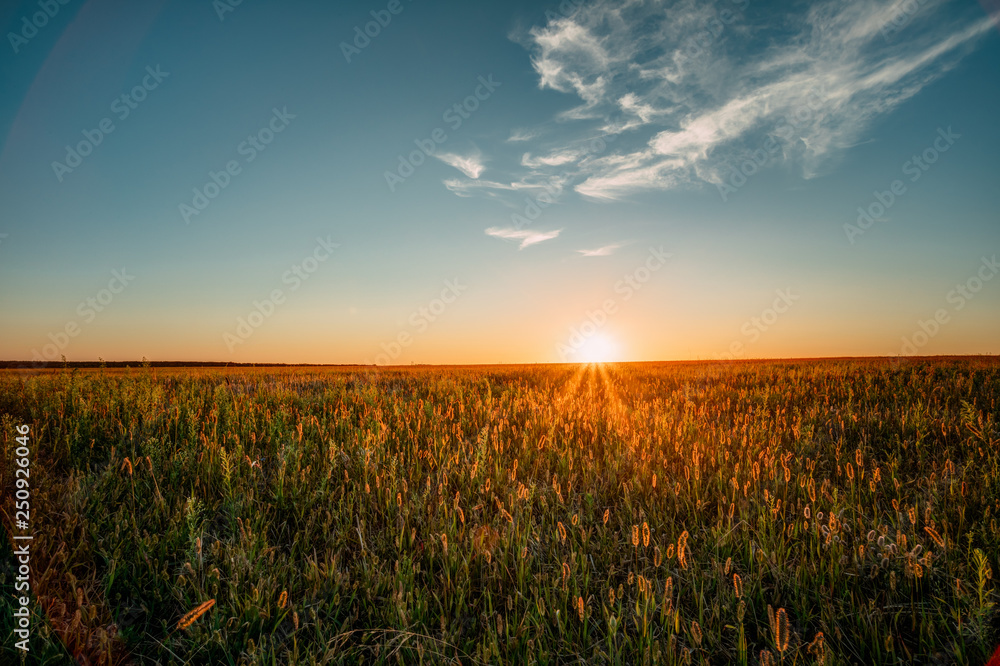 Sunset Sunrise Sun Over Rural Countryside Meadow. Blue And Yellow, Orange Sky Over Meadow Ground