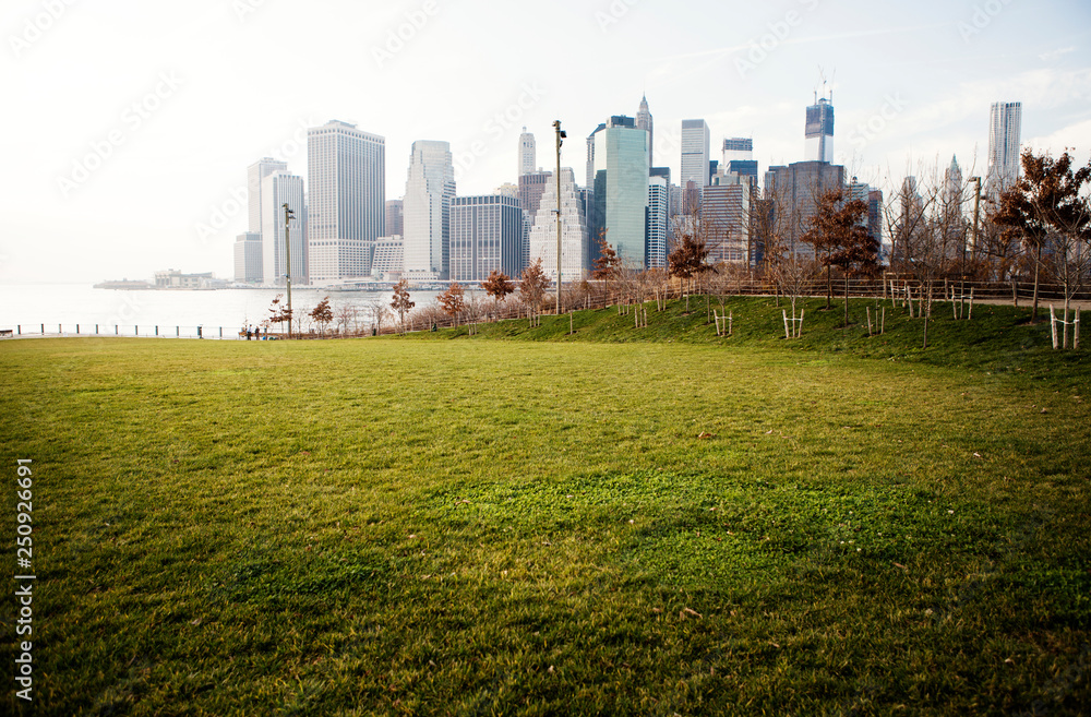 Cityscape behind Central Park Cityscape behind Central Park