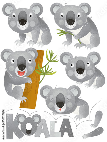 cartoon scene with happy and funny set of koala on white background - illustration for children