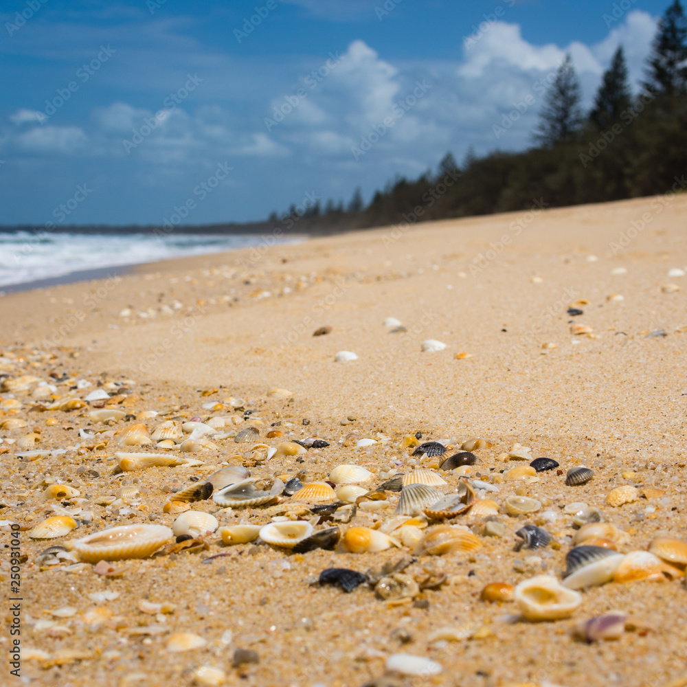 Beachscape Beachscape
