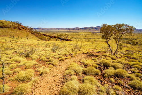 hiking on mount bruce in karijini national park, western australia 10