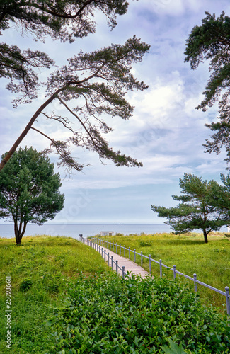 Fototapeta Naklejka Na Ścianę i Meble -  Way to the wedding place on the Baltic Sea beach in Binz. Registry office on the island of Rügen. Mecklenburg-Vorpommern Germany
