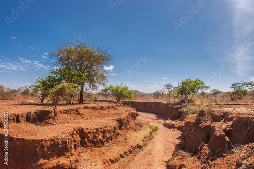 Kenya. Africa. Dried river ...