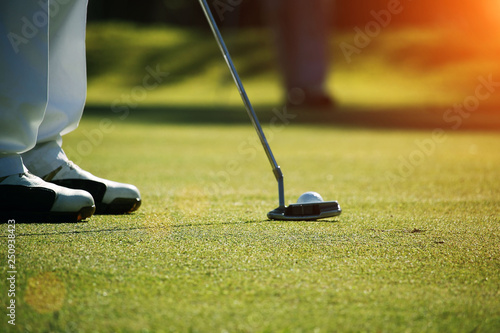 Golfer putting golf ball on the green golf