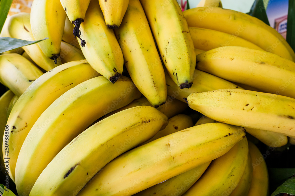 Racimo de platanos - bananas